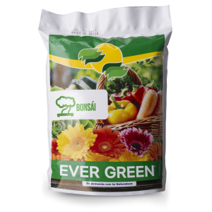 Ever Green Sustrato para Bonsái – Planta o flor natural en maceta. Disponible en Curridabat.