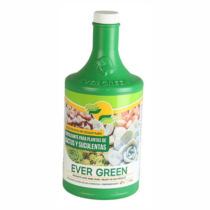 Fertilizante para Cactus y Suculentas – Planta o flor natural en maceta. Disponible en Curridabat.