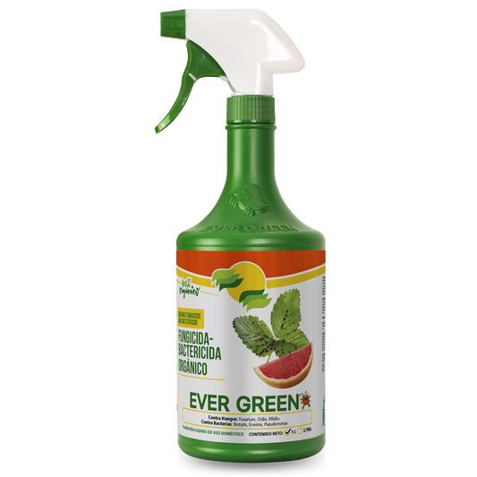 Ever Green Organic Fungicide Bactericide