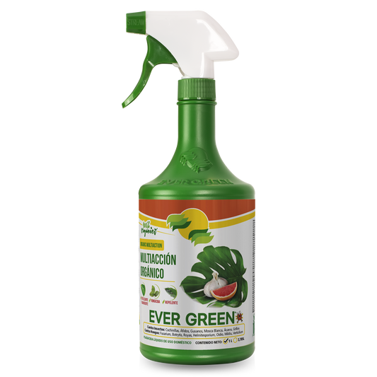Ever Green Multi-Action Organic