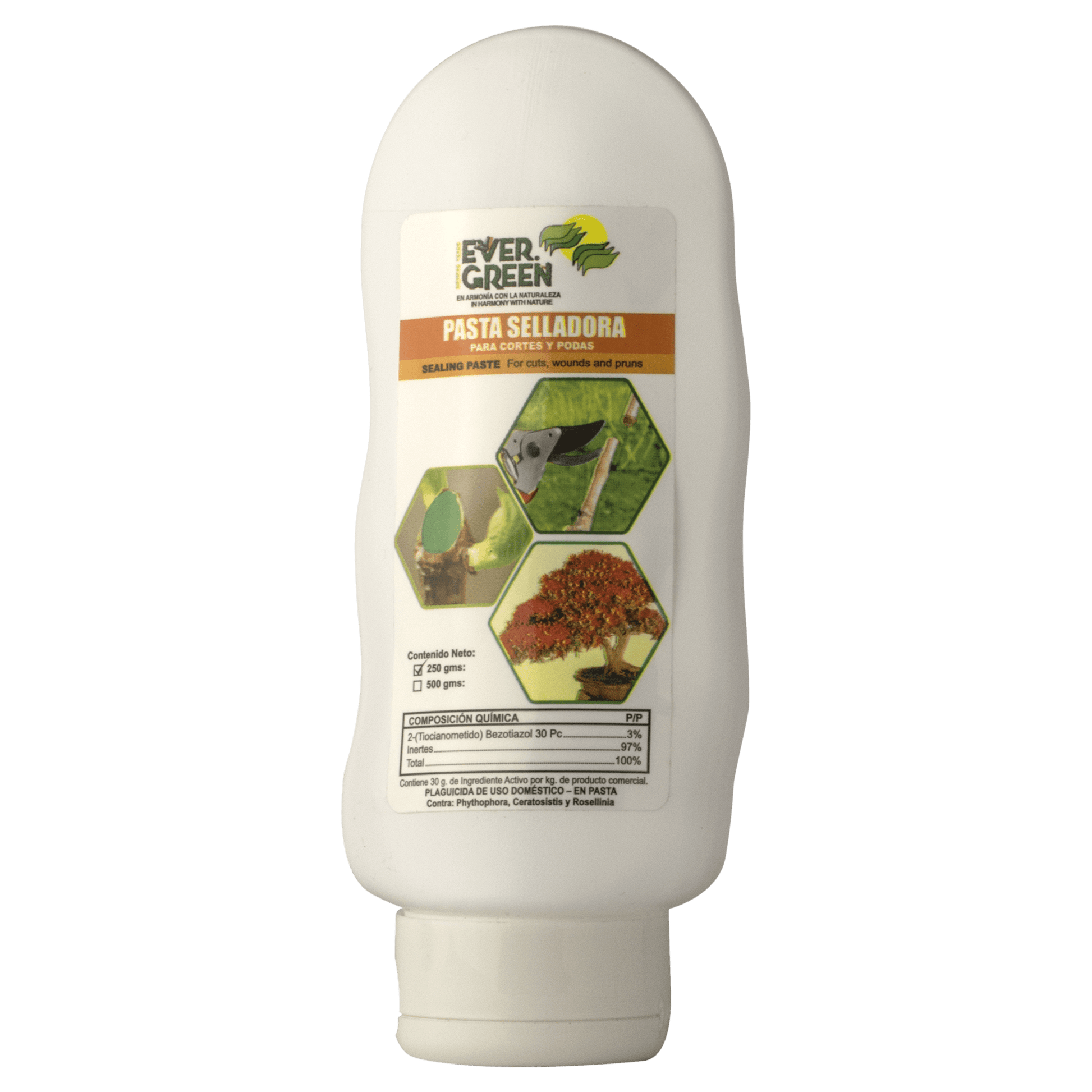 Pasta Selladora Fungicida – Planta o flor natural en maceta. Disponible en Curridabat.