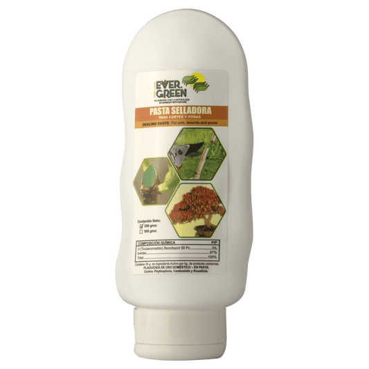 Pasta Selladora Fungicida – Planta o flor natural en maceta. Disponible en Curridabat.