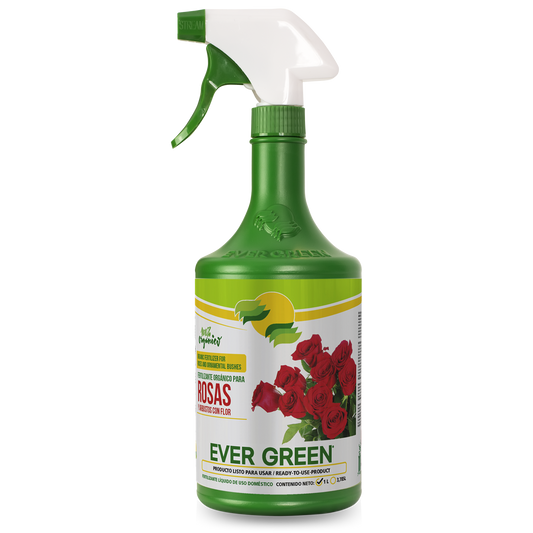 Organic fertilizer for roses and flowering shrubs