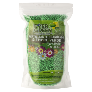 EVERGREEN always green