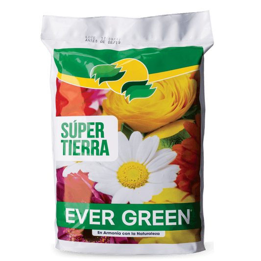 Ever Green Súper Tierra – Planta o flor natural en maceta. Disponible en Curridabat.