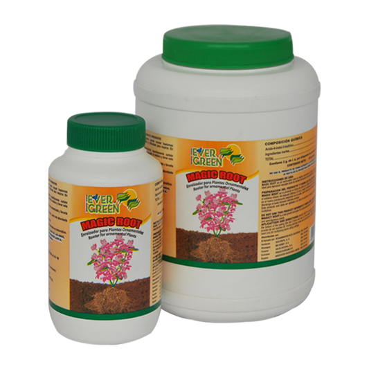 Enraizador Magic Root – Planta o flor natural en maceta. Disponible en Curridabat.